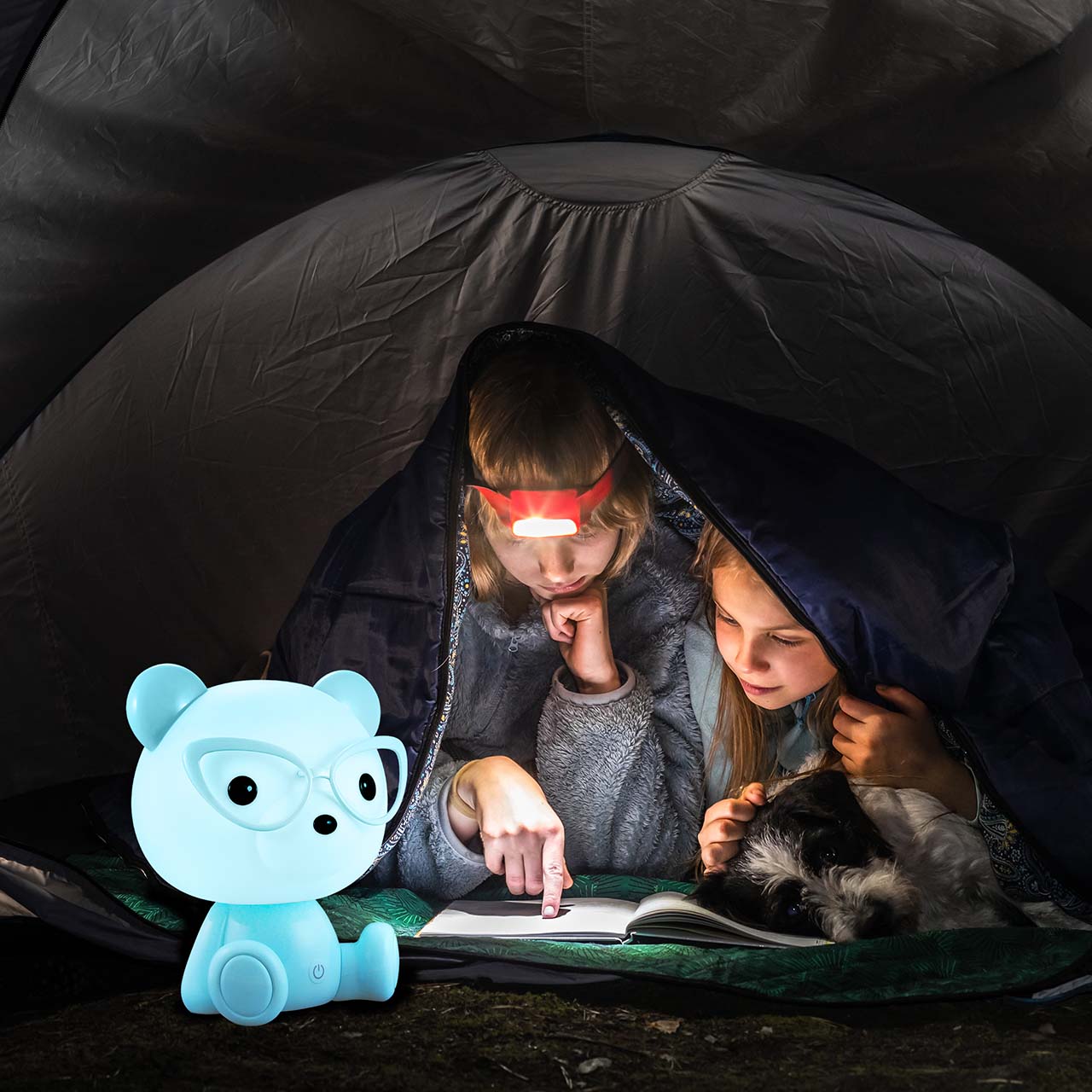 Lampka Dekoracyjna MIŚ OKULARNIK LED 327192 – Niebieska, Akumulator + Przewód USB-C | Sanico GoldLux - obrazek 6