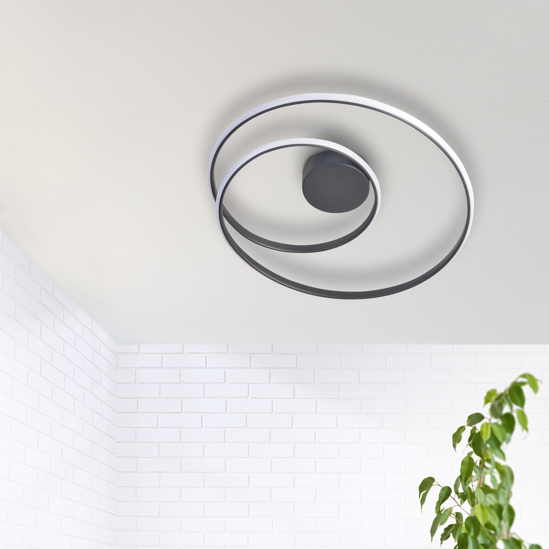 Lampa Sufitowa ZEFIRA LED 50 328038 – Antracyt, 4000K | Sanico GoldLux - obrazek 2