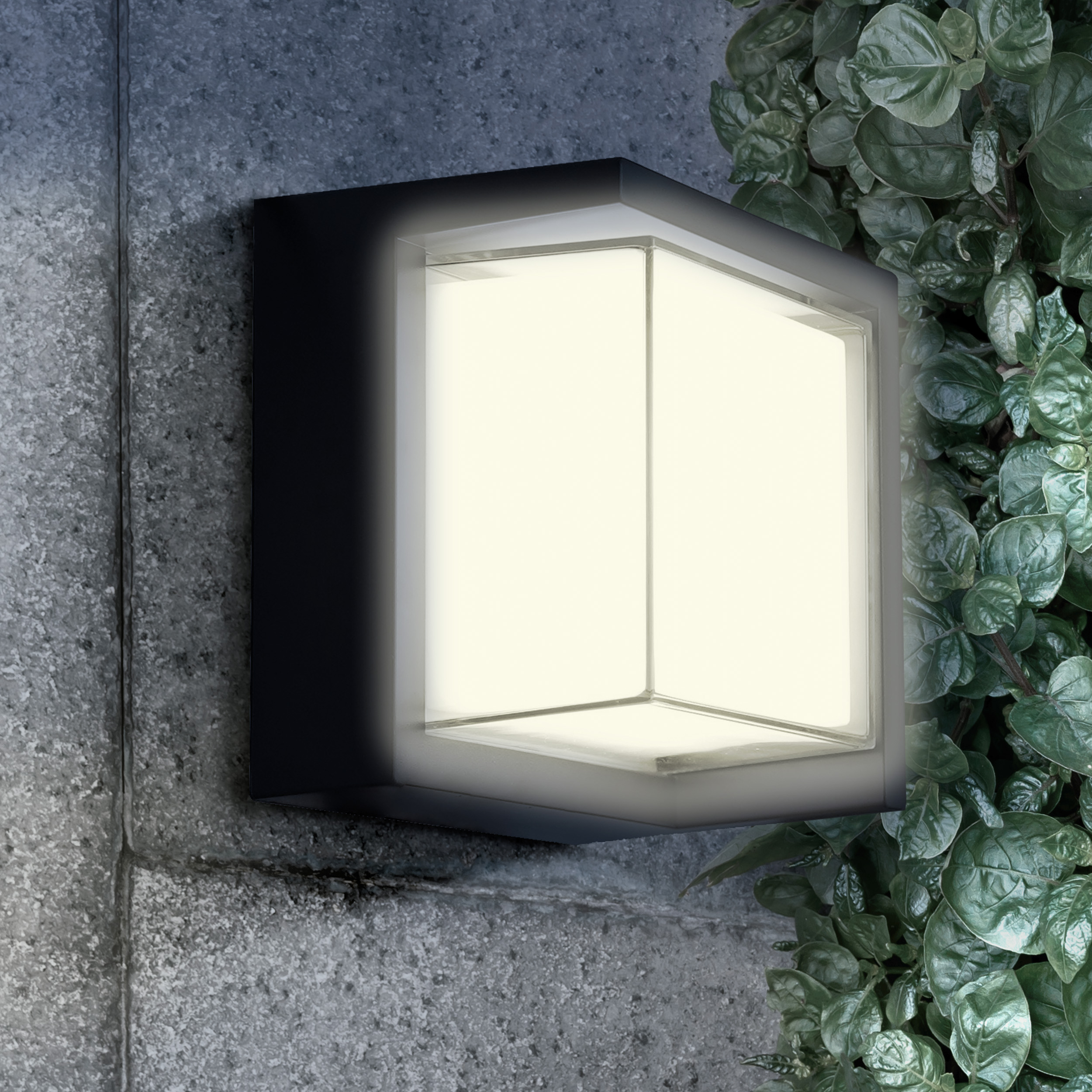 Kinkiet Ogrodowy ESSEN SQUARE LED 330963 – Czarny, 4000K IP44 | Sanico GoldLux - obrazek 2